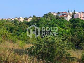 ΑΠΟΨΗ ΟΙΚΟΠΕΔΟΥ