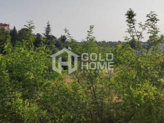 ΑΠΟΨΗ ΟΙΚΟΠΕΔΟΥ