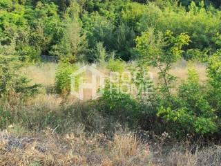 ΑΠΟΨΗ ΟΙΚΟΠΕΔΟΥ