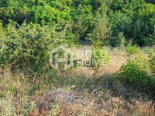 ΑΠΟΨΗ ΟΙΚΟΠΕΔΟΥ