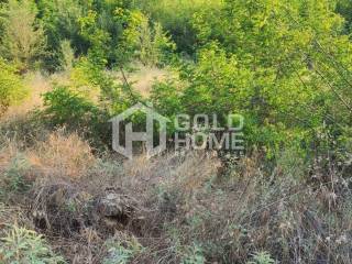 ΑΠΟΨΗ ΟΙΚΟΠΕΔΟΥ