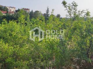 ΑΠΟΨΗ ΟΙΚΟΠΕΔΟΥ