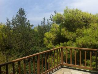 A VERANDA WITH OLD TREES