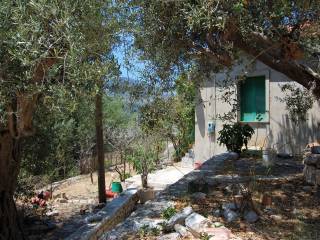 Front terrace of house