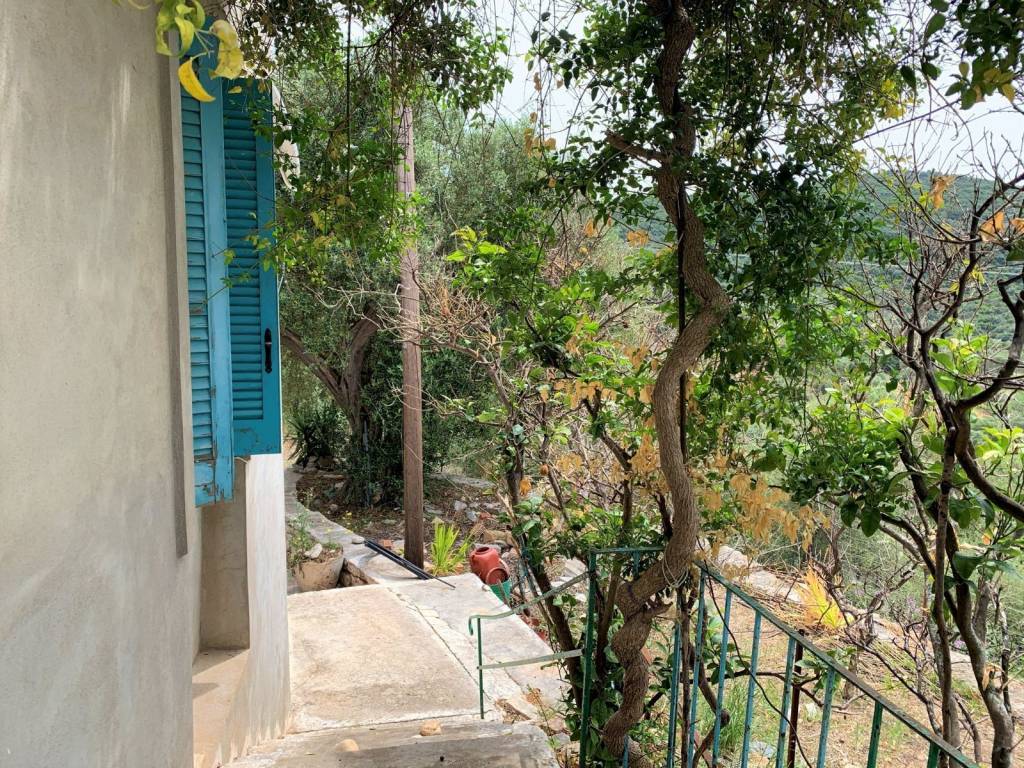 Stairs from garden leading to the house