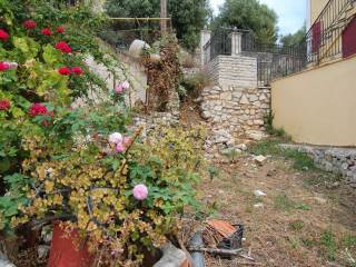 Garden area of house