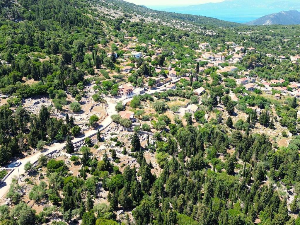 Aerial view and location of plot