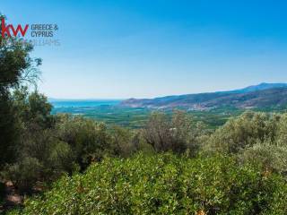 Εξωτερικοι χώροι