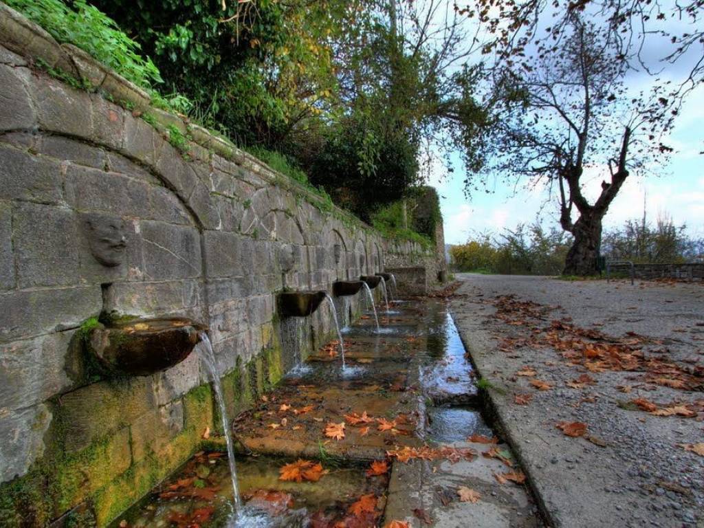 ΤΑ ΝΕΡΑ ΣΤΑ ΟΡΕΙΝΑ ΤΗΣ ΠΕΡΙΟΧΗΣ ΕΙΝΑΙ ΑΦΘΟΝΑ