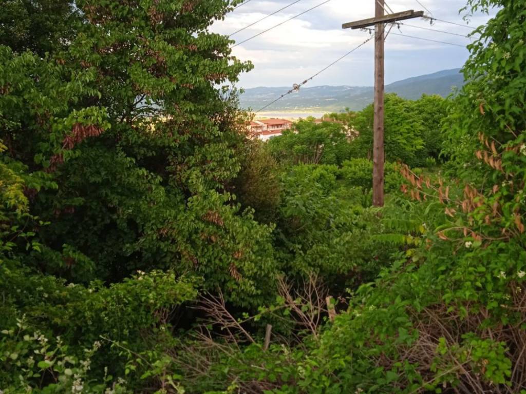 ΘΕΑ ΠΡΟΣ ΠΟΛΗ