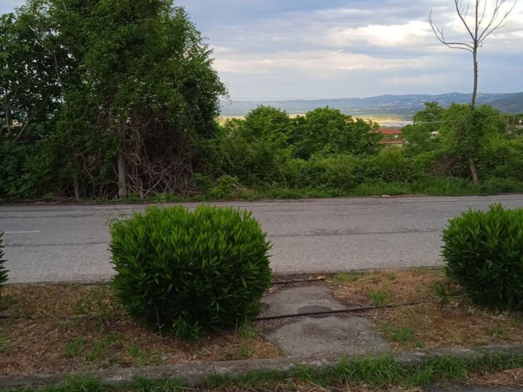 ΘΕΑ ΠΡΟΣ ΛΙΜΝΗ