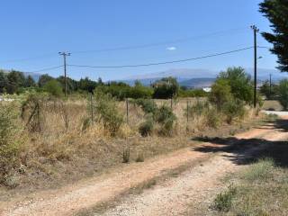 ΑΠΟΨΗ ΟΙΚΟΠΕΔΟΥ