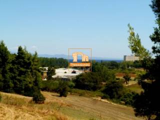 Καλλιθέα, Αγροτεμάχιο, 8.550 τ.μ.