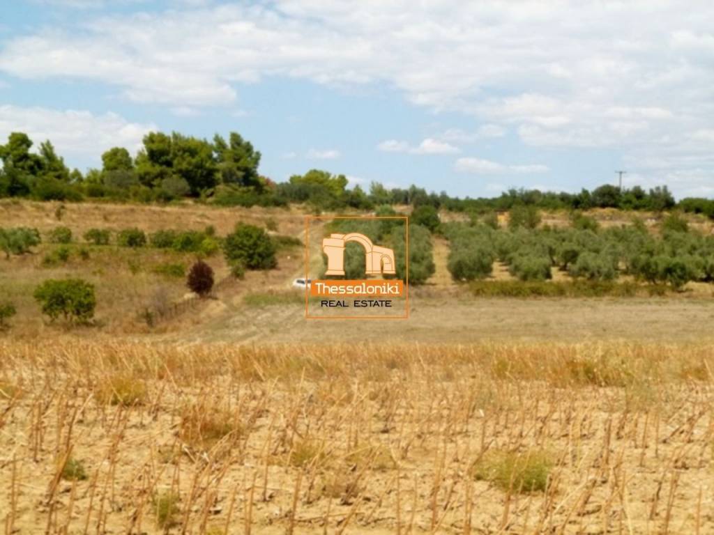 Καλλιθέα, Αγροτεμάχιο, 8.550 τ.μ.