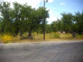 Frontage - Πρόσοψη