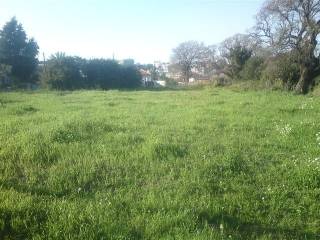 Οικόπεδο- land