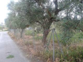 frontage of the plot - πρόσοψη οικοπέδου