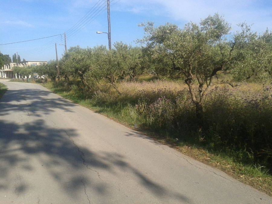 frontage of the land - Πρόσοψη οικοπέδου