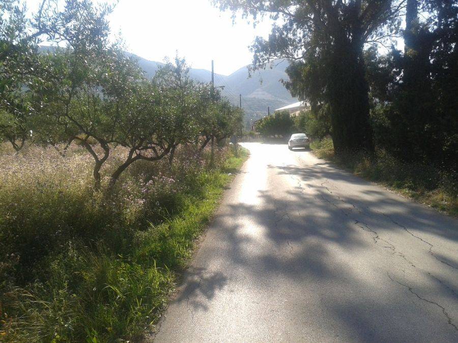 frontage of the land - Πρόσοψη οικοπέδου