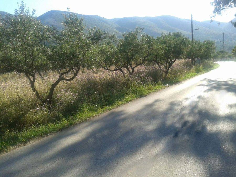 frontage of the land - Πρόσοψη οικοπέδου