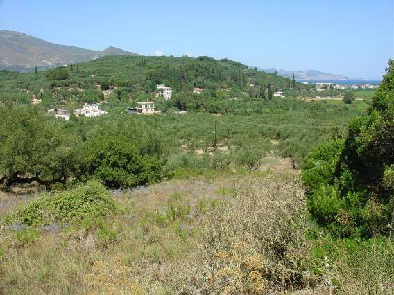 οικόπεδο με θέα - land view