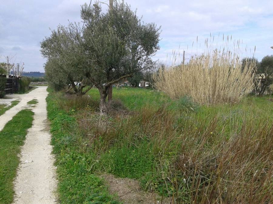 frontage to the road - πρόσοψη στο δρόμο