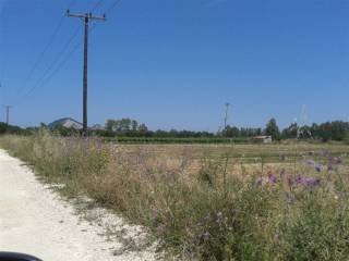 Land frontage- πρόσοψη οικόπεδο