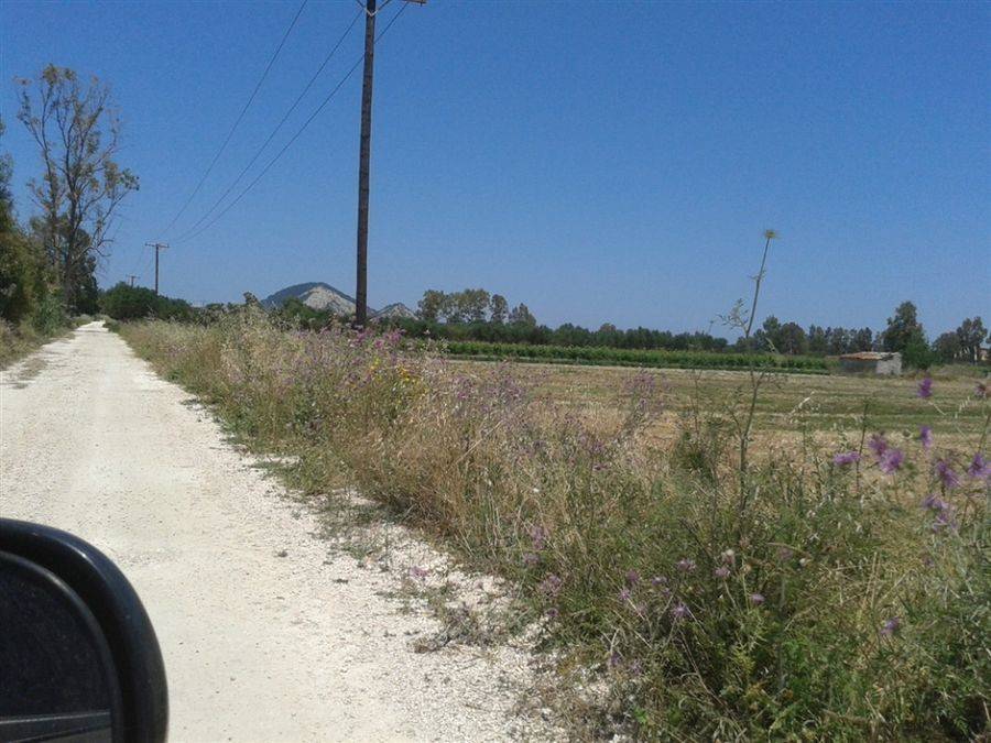 Land frontage- πρόσοψη οικόπεδο