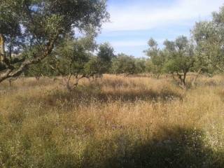 Land - οικόπεδο