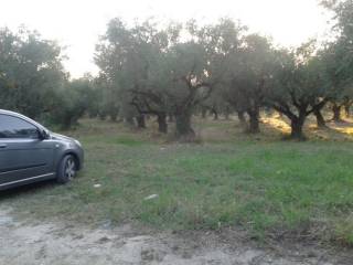 πρόσοψη οικοπέδου - frontage of the plot