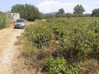 frontage of the land - πρόσοψη οικοπέδου