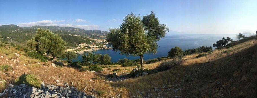 Land 48.000sqm