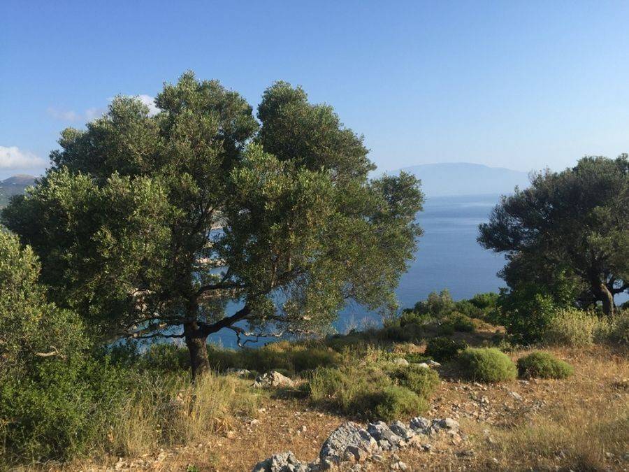 Land 48.000sqm