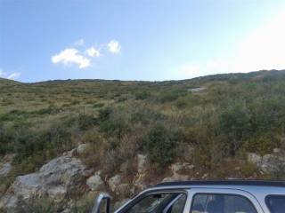 land - οικόπεδο