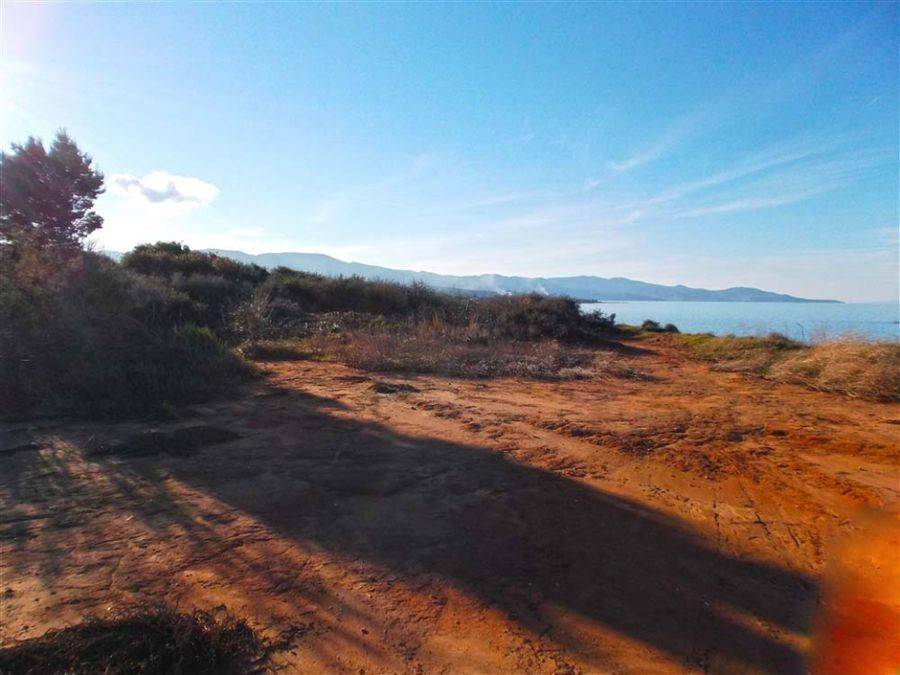 παραθαλάσσιο οικόπεδο - seaside land