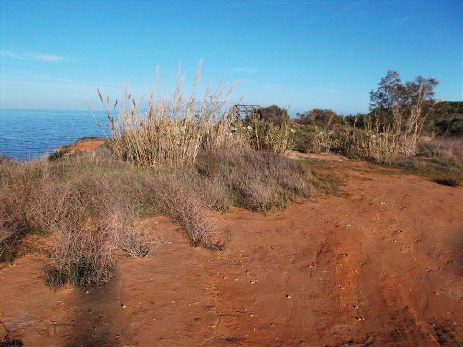 παραθαλάσσιο οικόπεδο - seaside land