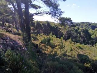 land - οικόπεδο