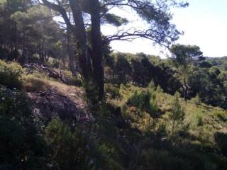 land - οικόπεδο