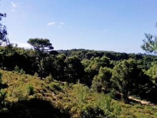 land - οικόπεδο