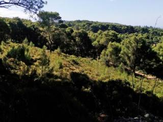 land - οικόπεδο