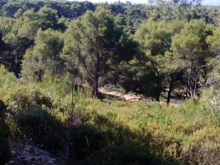 land - οικόπεδο