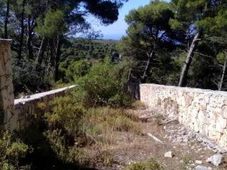 πέτρινη είσοδος οικοπέδου - entrance of the plot