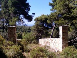 πέτρινη είσοδος οικοπέδου - entrance of the plot