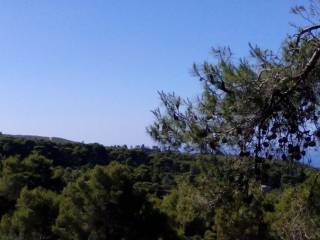 θέα σε βουνά - mountain views