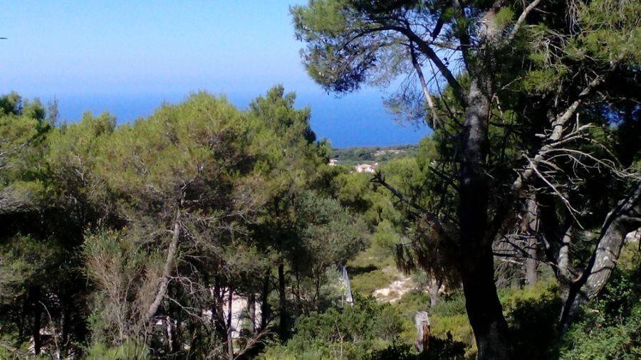 πανοραμική θέα θάλασσα - panormic view of the sea