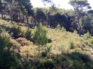 land - οικόπεδο