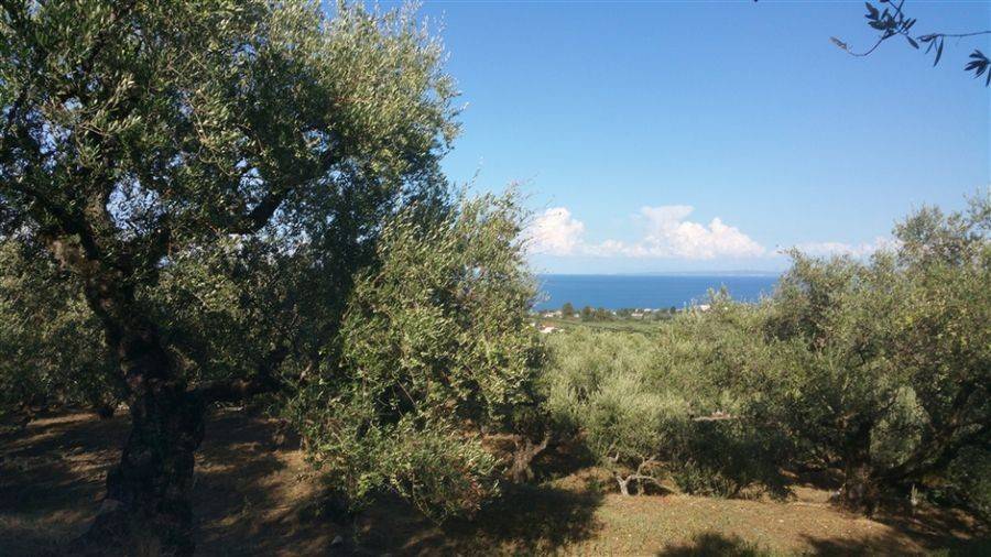 Οικόπεδο με θέα θάλασσα - Land with sea view