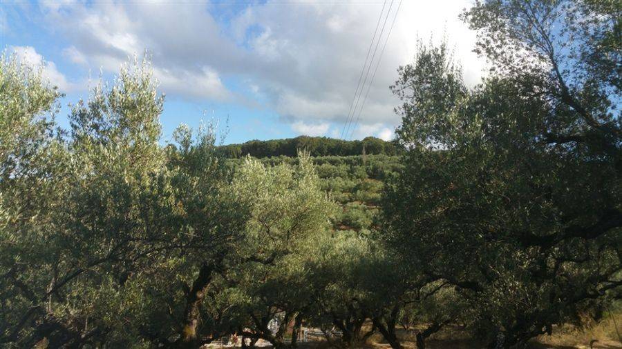 Οικόπεδο με θέα θάλασσα - Land with sea view