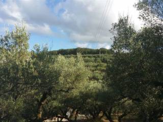 Οικόπεδο με θέα θάλασσα - Land with sea view