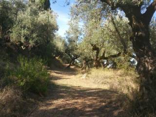 Οικόπεδο με θέα θάλασσα - Land with sea view